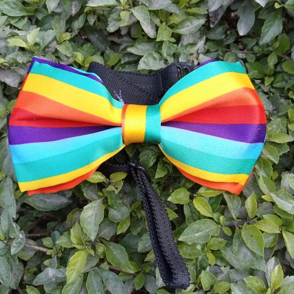 Rainbow Bow-Tie